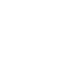 Shipment & Export