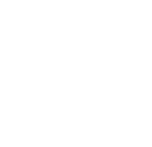 Initial Inquiry