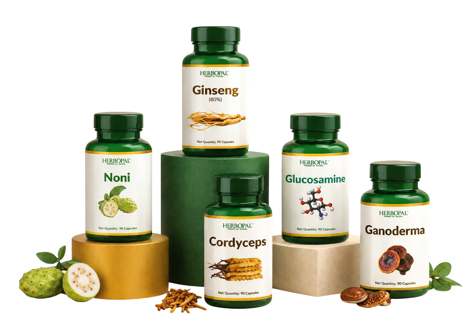 Supplement